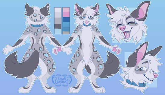 reference sheet